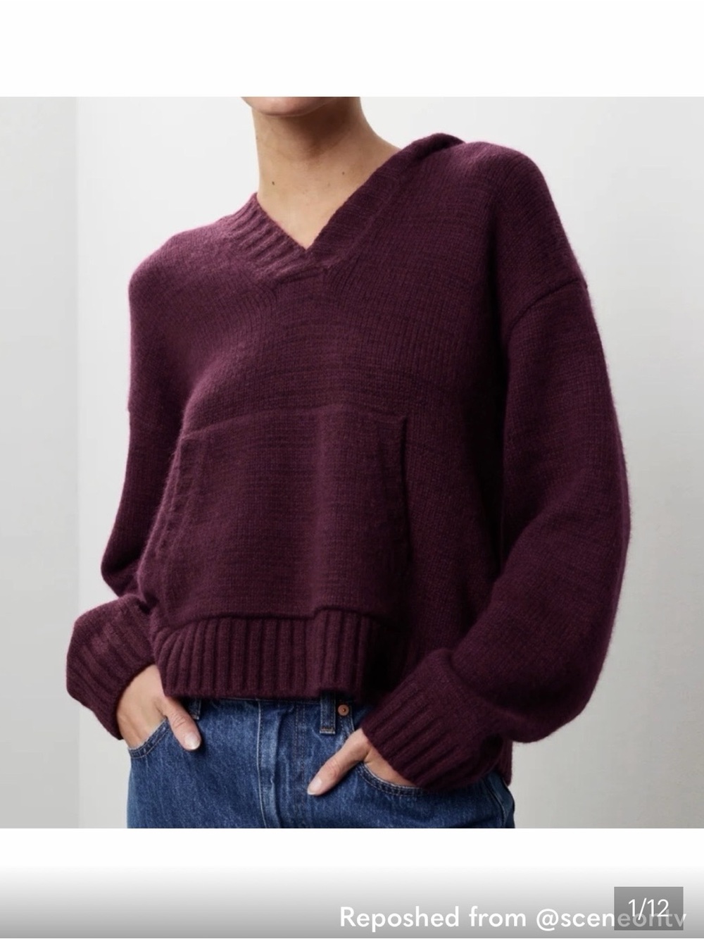 Splendid Wool Cashmere Purple V-Neck Hooded Sweater